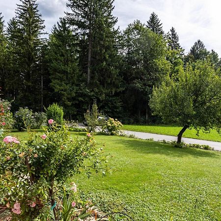 Ferienwohnung Im Haus Stoeckl Angerberg  外观 照片